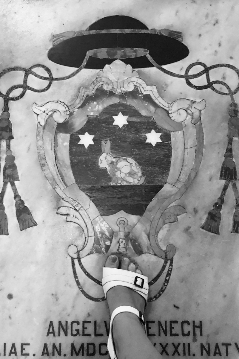 Black-and-white marble floor detail with stars and a rabbit for Through the Pinhole, or, the Origin of a Holostory